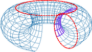 torus.png